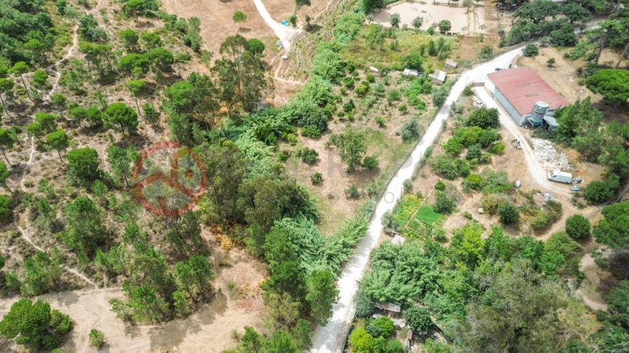 Terreno para Venda em Sesimbra (Castelo) Foto 15