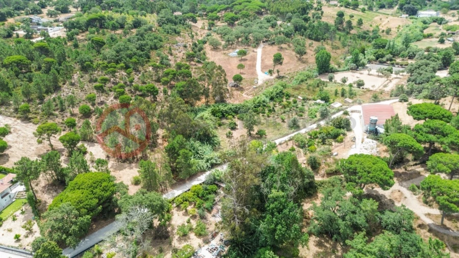 Terreno para Venda em Sesimbra (Castelo) Foto 21