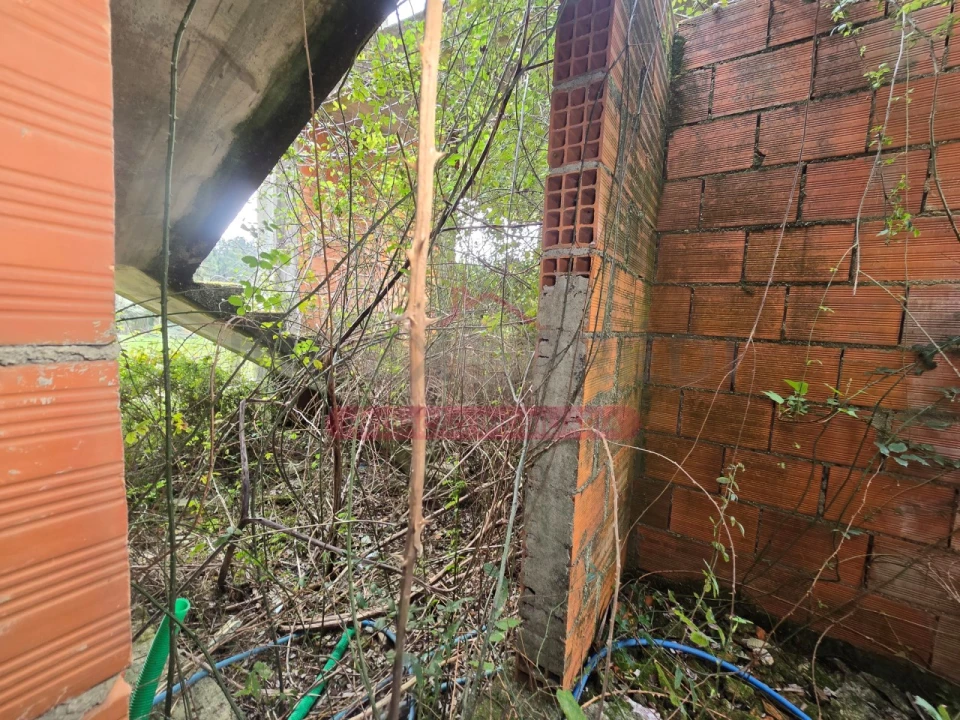 Prédio para Venda em Belazaima do Chão, Castanheira do Vouga e Agadão Foto 30