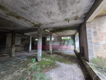 Prédio para Venda em Belazaima do Chão, Castanheira do Vouga e Agadão