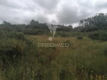 Terreno para Venda em Santo Quintino