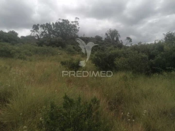 Terreno para Venda em Santo Quintino