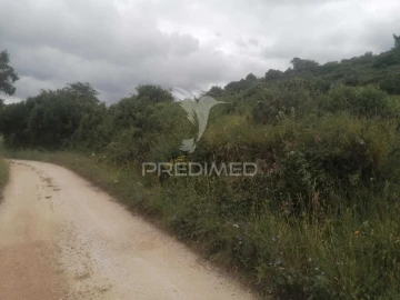 Terreno para Venda em Santo Quintino