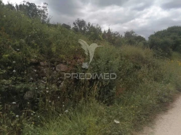 Terreno para Venda em Santo Quintino
