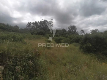 Terreno para Venda em Santo Quintino