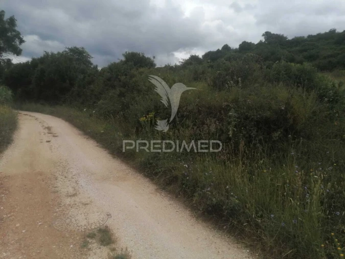 Terreno para Venda em Santo Quintino Foto 15