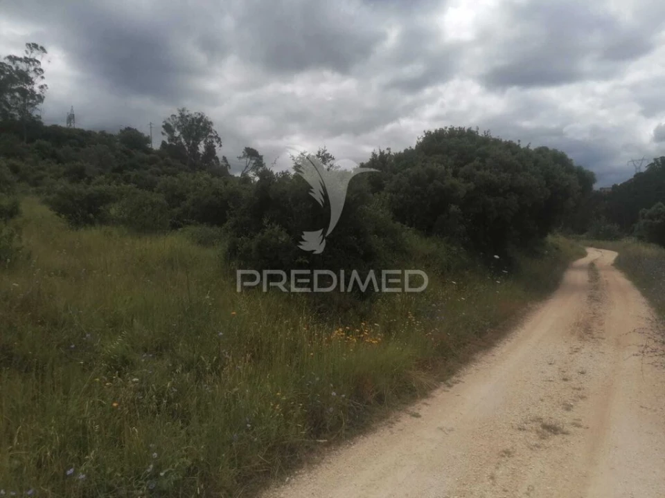 Terreno para Venda em Santo Quintino Foto 1