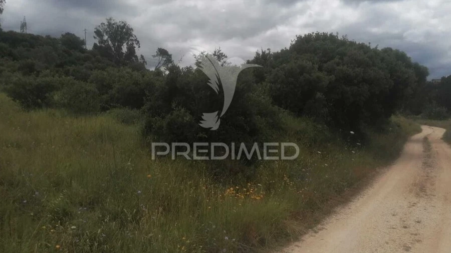 Terreno para Venda em Santo Quintino