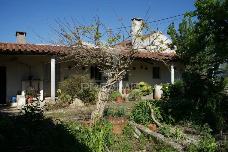 Moradia T3 para Venda em São Vicente do Paul e Vale de Figueira Foto 5