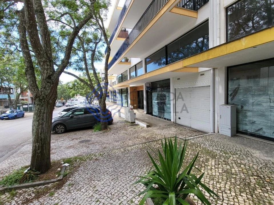 Loja para Venda em Repeses e São Salvador Foto 4