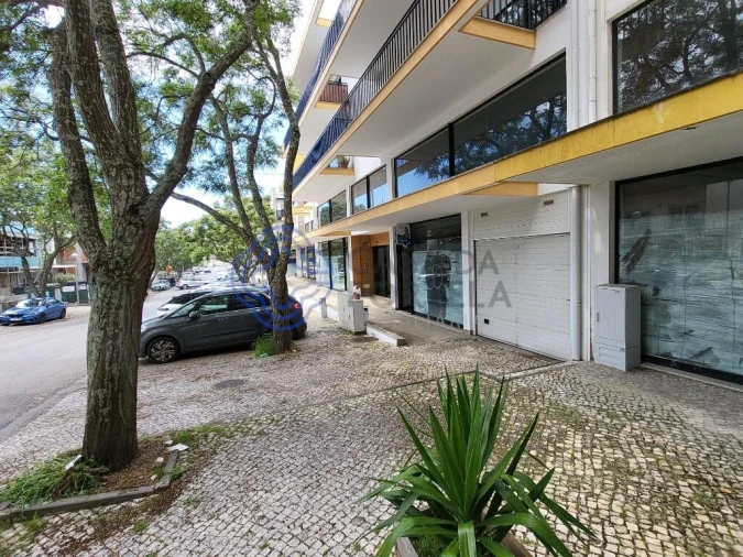 Loja para Venda em Repeses e São Salvador Foto 4