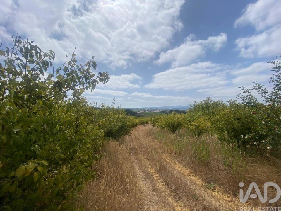 Terreno para Venda em Carvalhal Foto 7
