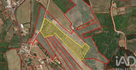 Terreno para Venda em Carvalhal