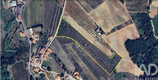 Terreno para Venda em Carvalhal