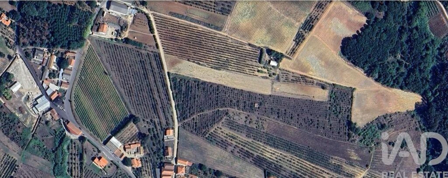 Terreno para Venda em Carvalhal Foto 2