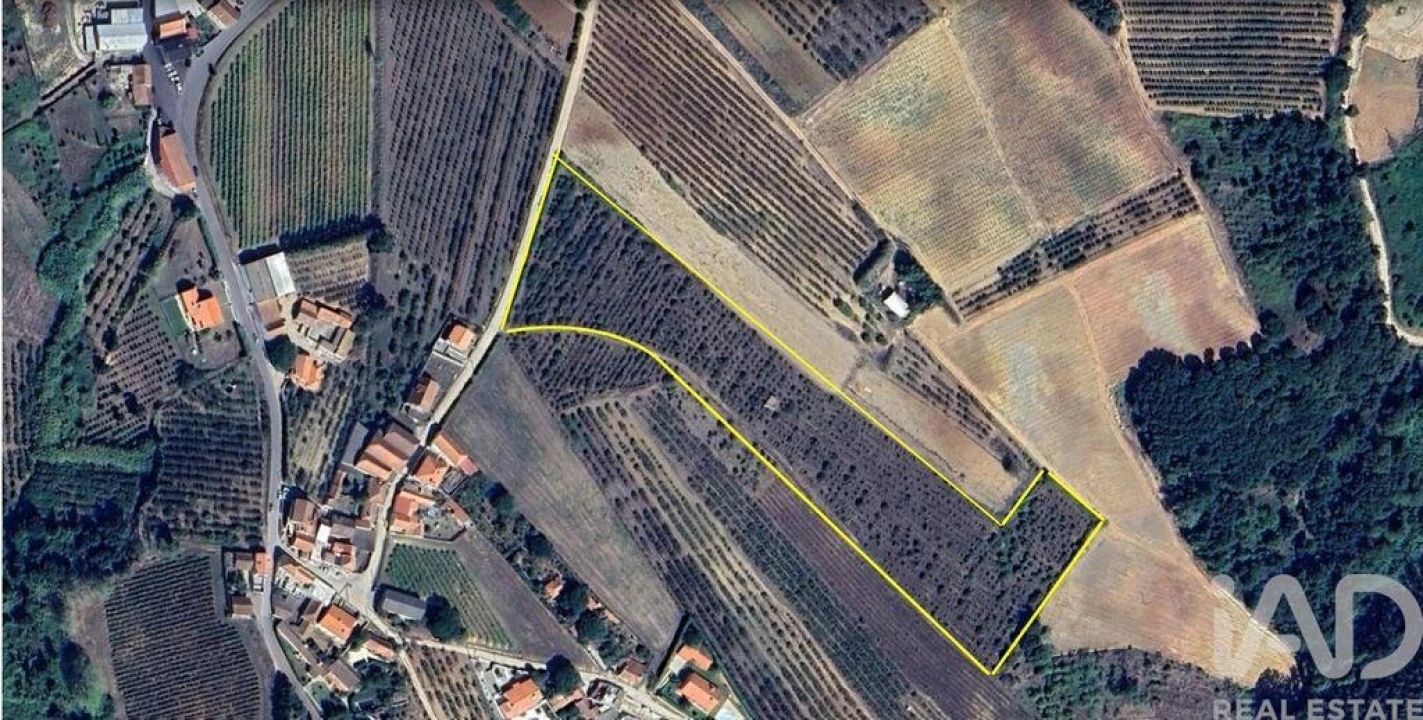 Terreno para Venda em Carvalhal Foto 1