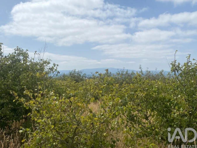 Terreno para Venda em Carvalhal Foto 5