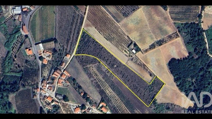 Terreno para Venda em Carvalhal