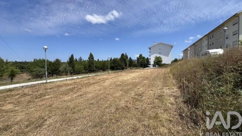 Terreno para Venda em Mealhada, Ventosa do Bairro e Antes