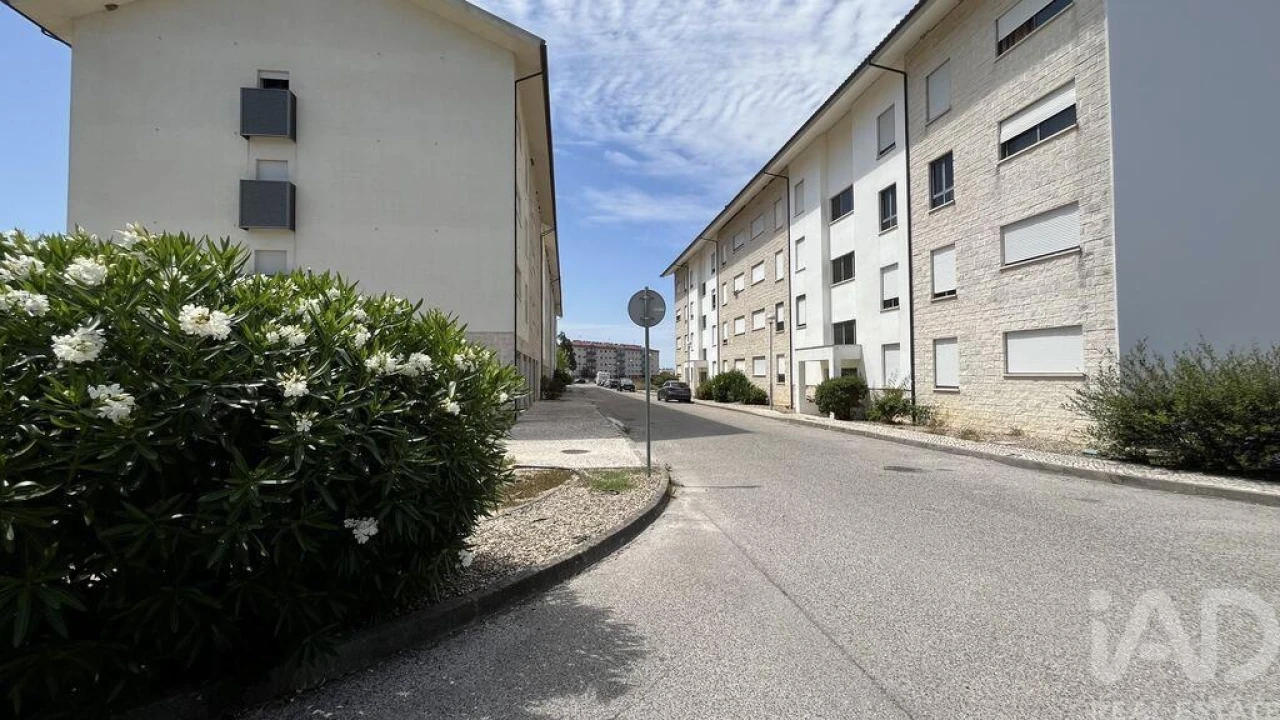 Terreno para Venda em Mealhada, Ventosa do Bairro e Antes Foto 9