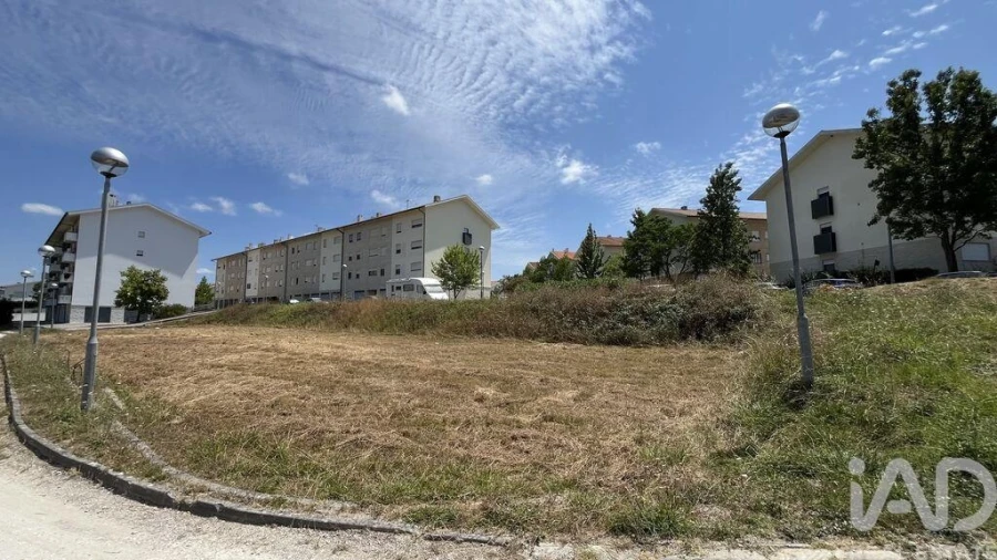 Terreno para Venda em Mealhada, Ventosa do Bairro e Antes Foto 6