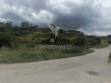 Terreno para Venda em Santo Quintino