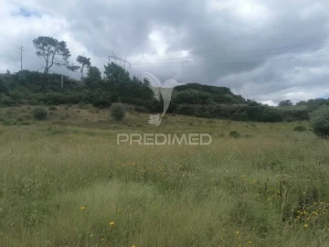 Terreno para Venda em Santo Quintino