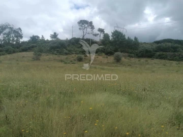 Terreno para Venda em Santo Quintino