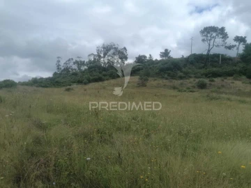 Terreno para Venda em Santo Quintino