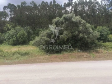 Terreno para Venda em Santo Quintino