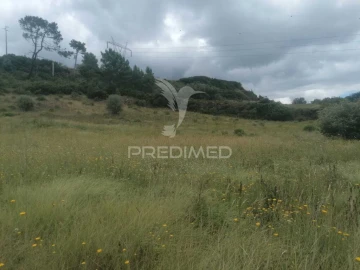 Terreno para Venda em Santo Quintino
