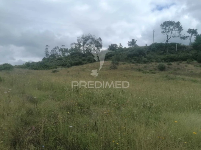 Terreno para Venda em Santo Quintino Foto 19