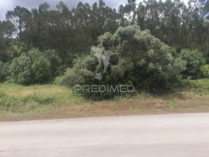 Terreno para Venda em Santo Quintino Foto 3