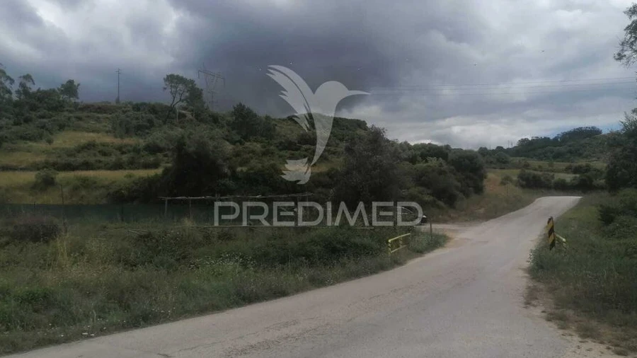 Terreno para Venda em Santo Quintino