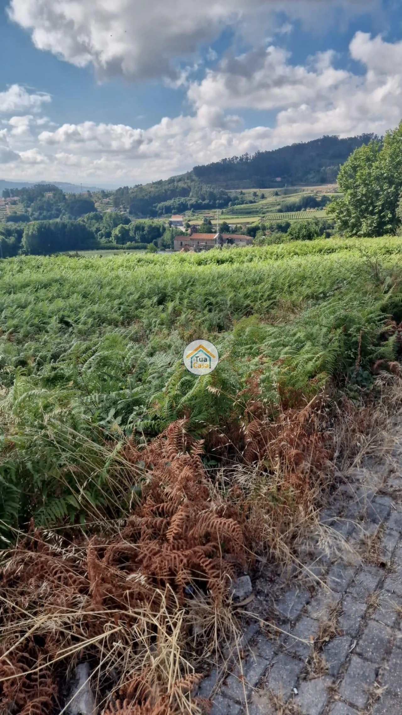 Terreno para Venda em Aião Foto 7