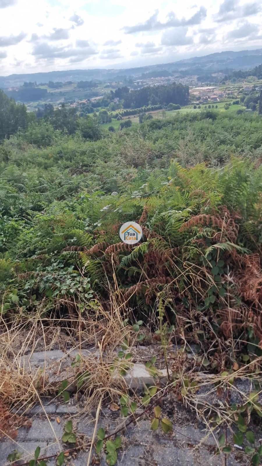Terreno para Venda em Aião Foto 5