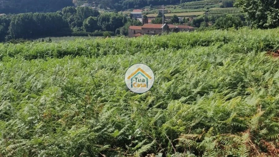 Terreno para Venda em Torrados e Sousa
