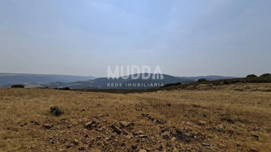 Terreno para Venda em Sé, Santa Maria e Meixedo Foto 11