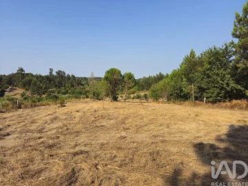 Moradia para Venda em Mangualde, Mesquitela e Cunha Alta