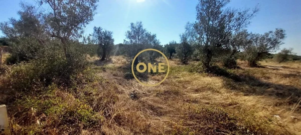 Terreno para Venda em Vila Nova da Barquinha
