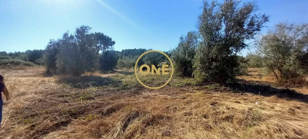 Terreno para Venda em Vila Nova da Barquinha
