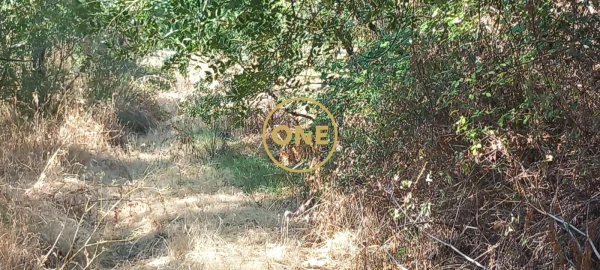 Terreno para Venda em Vila Nova da Barquinha