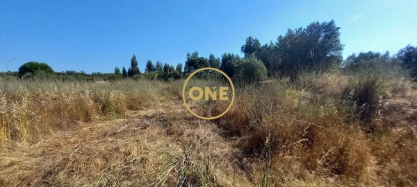 Terreno para Venda em Vila Nova da Barquinha