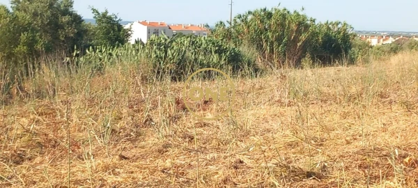Terreno para Venda em Vila Nova da Barquinha
