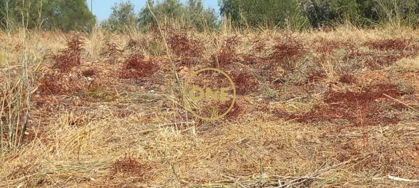 Terreno para Venda em Vila Nova da Barquinha
