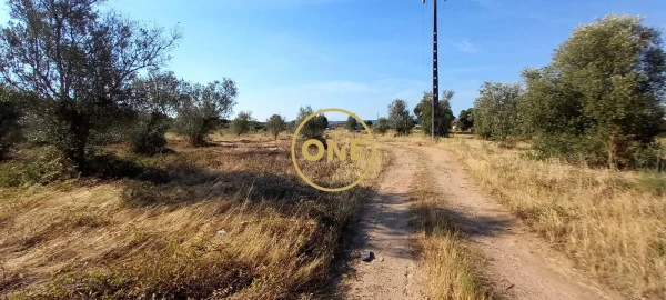 Terreno para Venda em Vila Nova da Barquinha