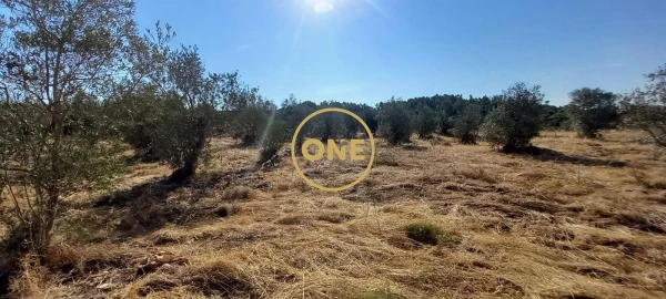 Terreno para Venda em Vila Nova da Barquinha