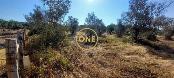 Terreno para Venda em Vila Nova da Barquinha