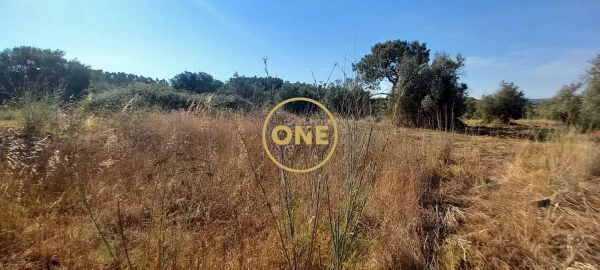 Terreno para Venda em Vila Nova da Barquinha