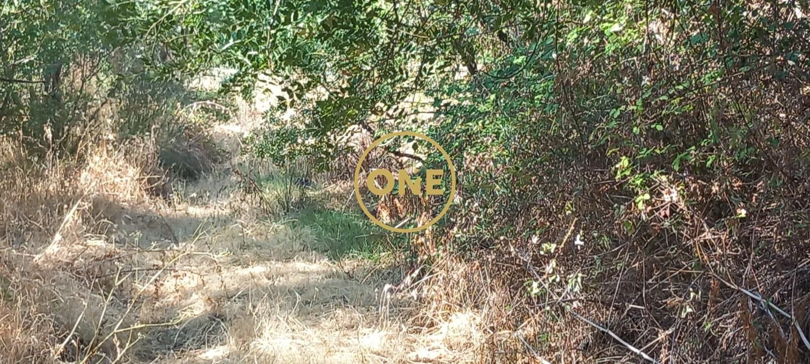 Terreno para Venda em Vila Nova da Barquinha Foto 3